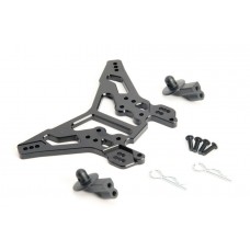 Truggy rear shock tower  set, Agama T