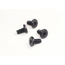 Truss head screws (4)