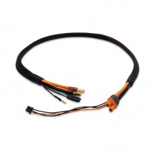 Pro Series Race 2s Charge Cable: IC3/5mm 2' by Spektrum