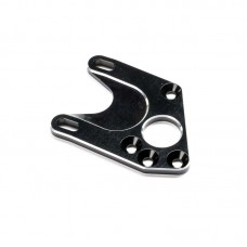 Motor Plate, Aluminum: 22X/22X-T by TLR Motor Plate, Aluminum: 22X/22X-T by TLR