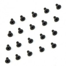 CT P.M.SCREW(20),M 2.5*8